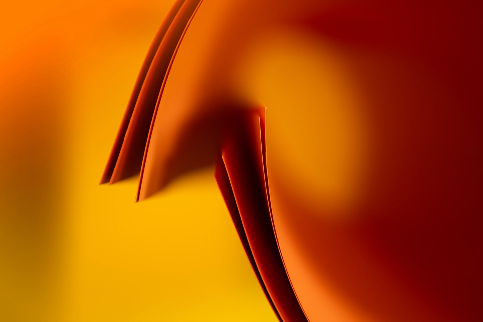 BRAND IDENTITY